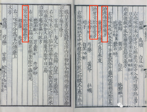 图片[3]-《备急千金要方》PDF 唐代著名医学家孙思邈临床实践的经验  三十卷.唐.孙思邈撰.清光绪四年长洲黄学熙刊江户医学据北宋本影刻本-今古藏书阁